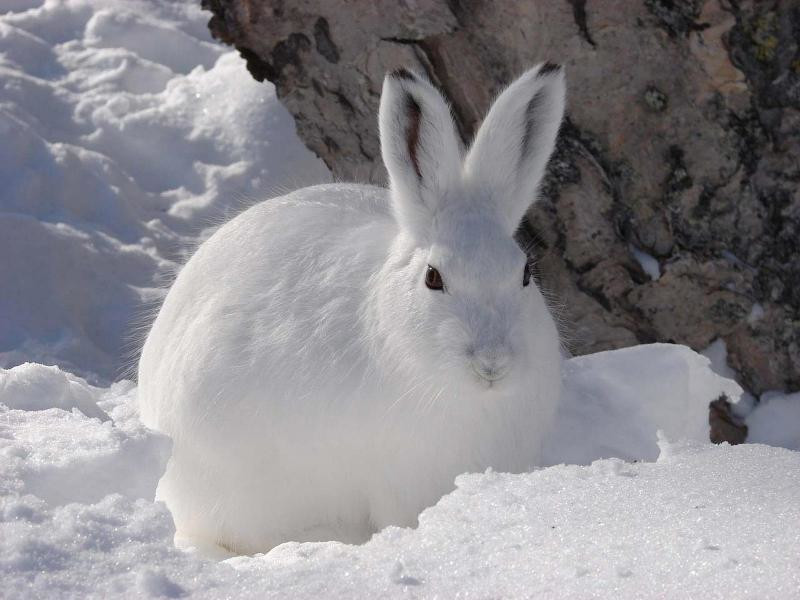 . – фотографии России