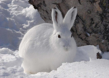 . – фотографии России