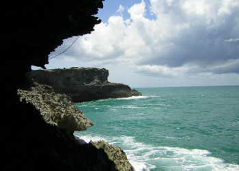Animal Flower Cave, Barbados – фотографии Барбадоса