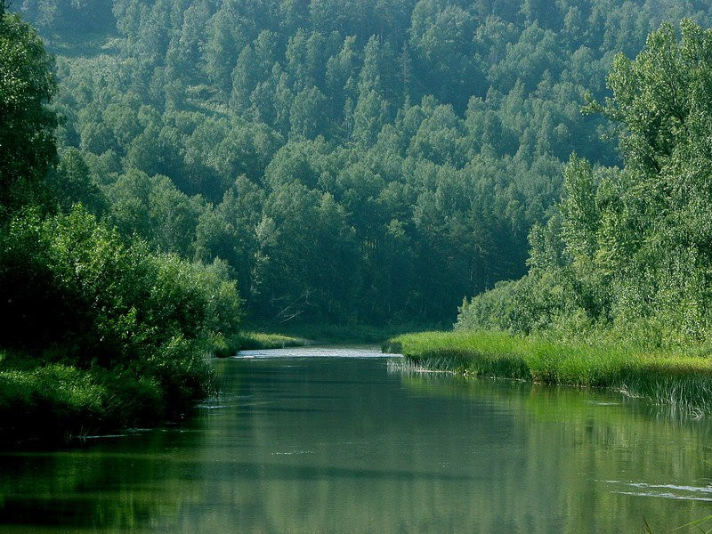 Река в Бердские скалы, Россия – фотографии России