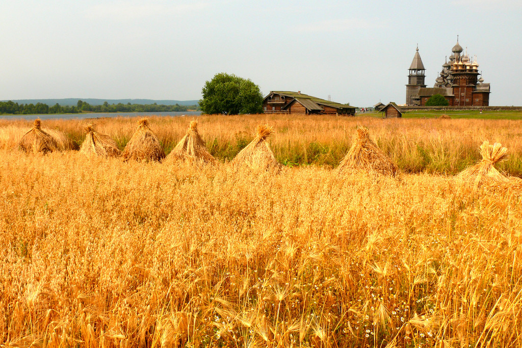 Кижи, Карелия. Фото 4 – фотографии России