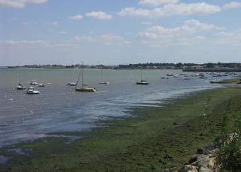 Берег на острове Ре, Франция. Фото 1 – фотографии Франции