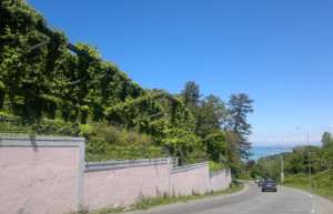 Цихисдзири, Грузия, фото № 73734 – фотографии Грузии