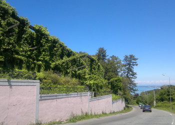 Цихисдзири, Грузия, фото № 73734 – фотографии Грузии