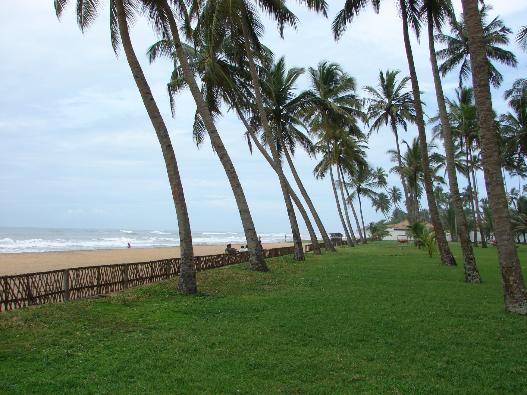 Ваддува, Шри-Ланка, фото № 50771 – фотографии Шри-Ланки