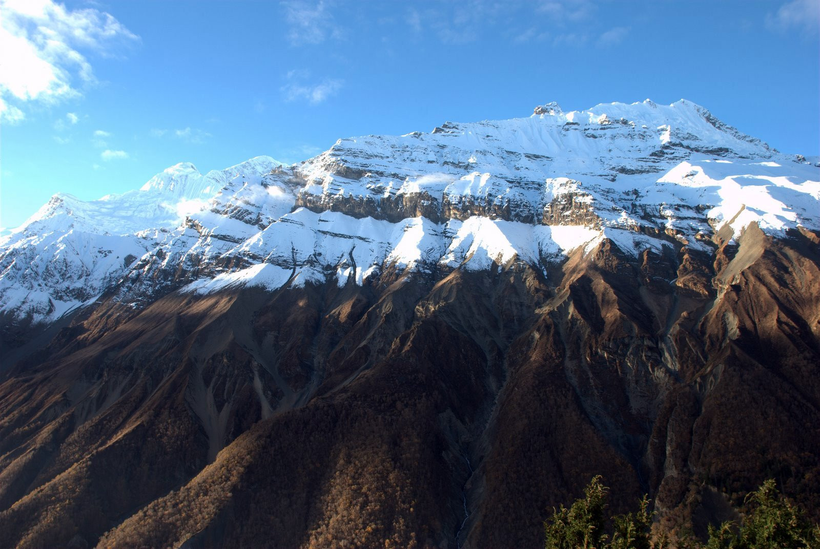Аннапурна заповедник, Непал, фото № 78911 – фотографии Непала
