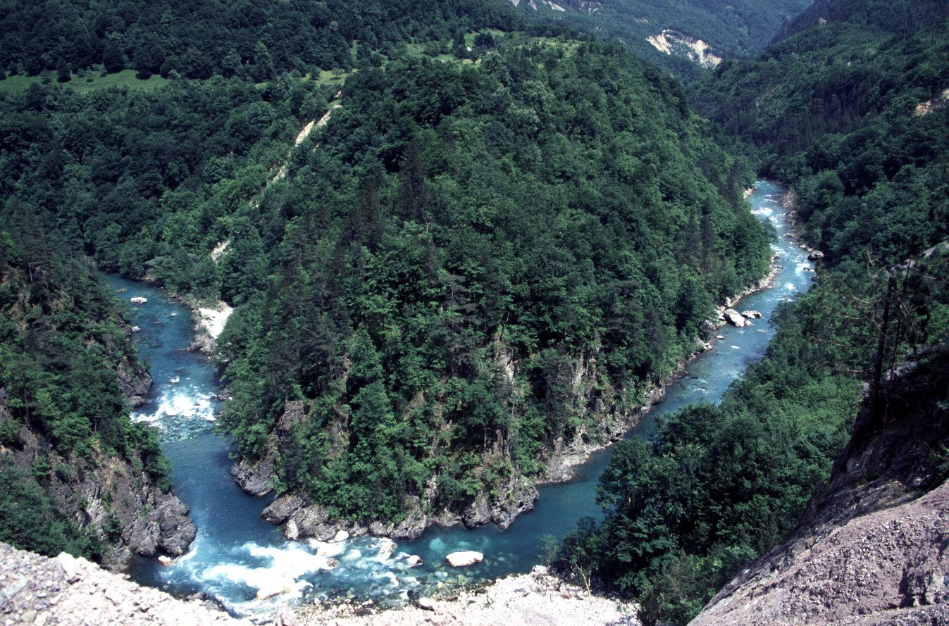 Тара Каньон – фотографии Черногории