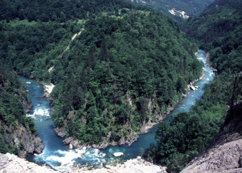 Тара Каньон – фотографии Черногории