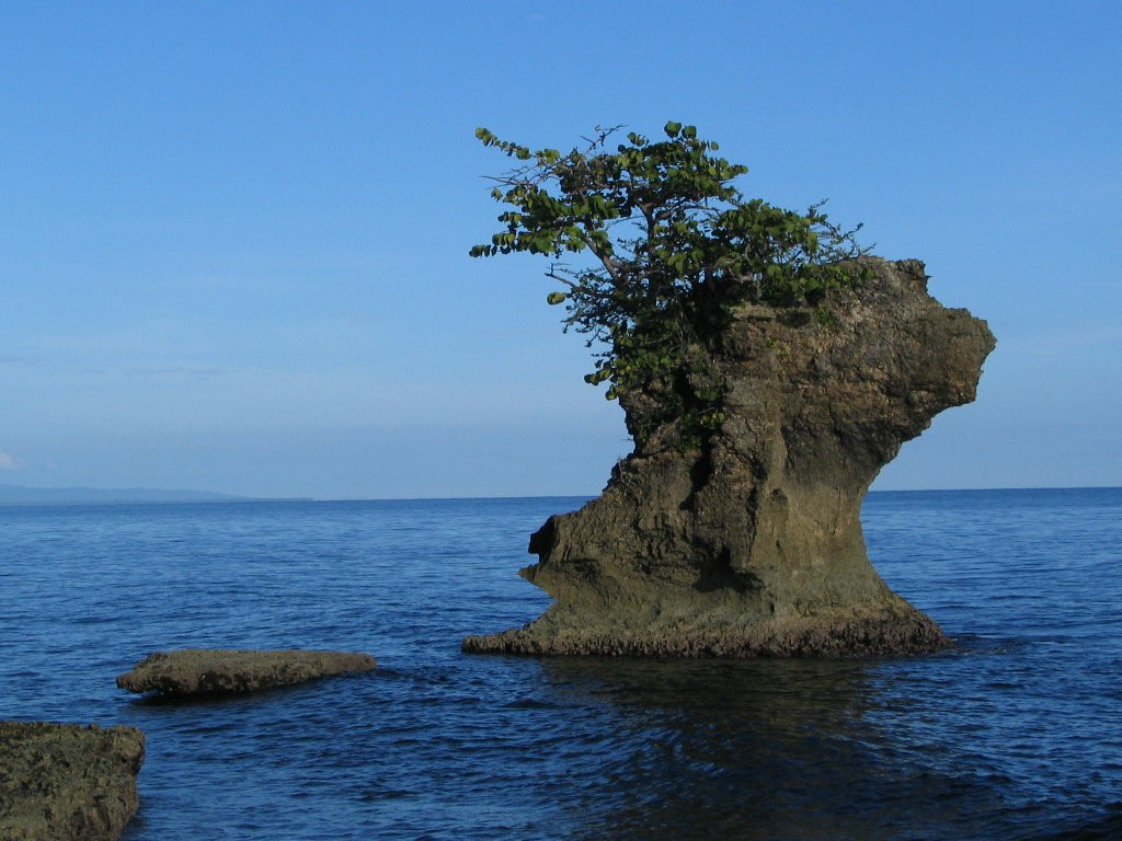 Манзанилло, Лимон провинция, Коста-Рика, фото № 40122 – фотографии Коста-Рики