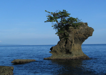 Манзанилло, Лимон провинция, Коста-Рика, фото № 40122 – фотографии Коста-Рики