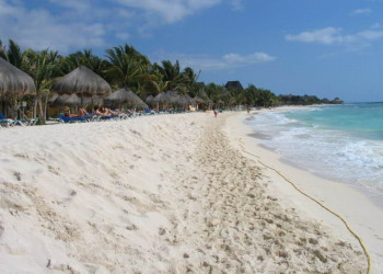 Плайя-дель-Кармен, Ривьера-Майя, Мексика, фото № 43946 – фотографии Мексики