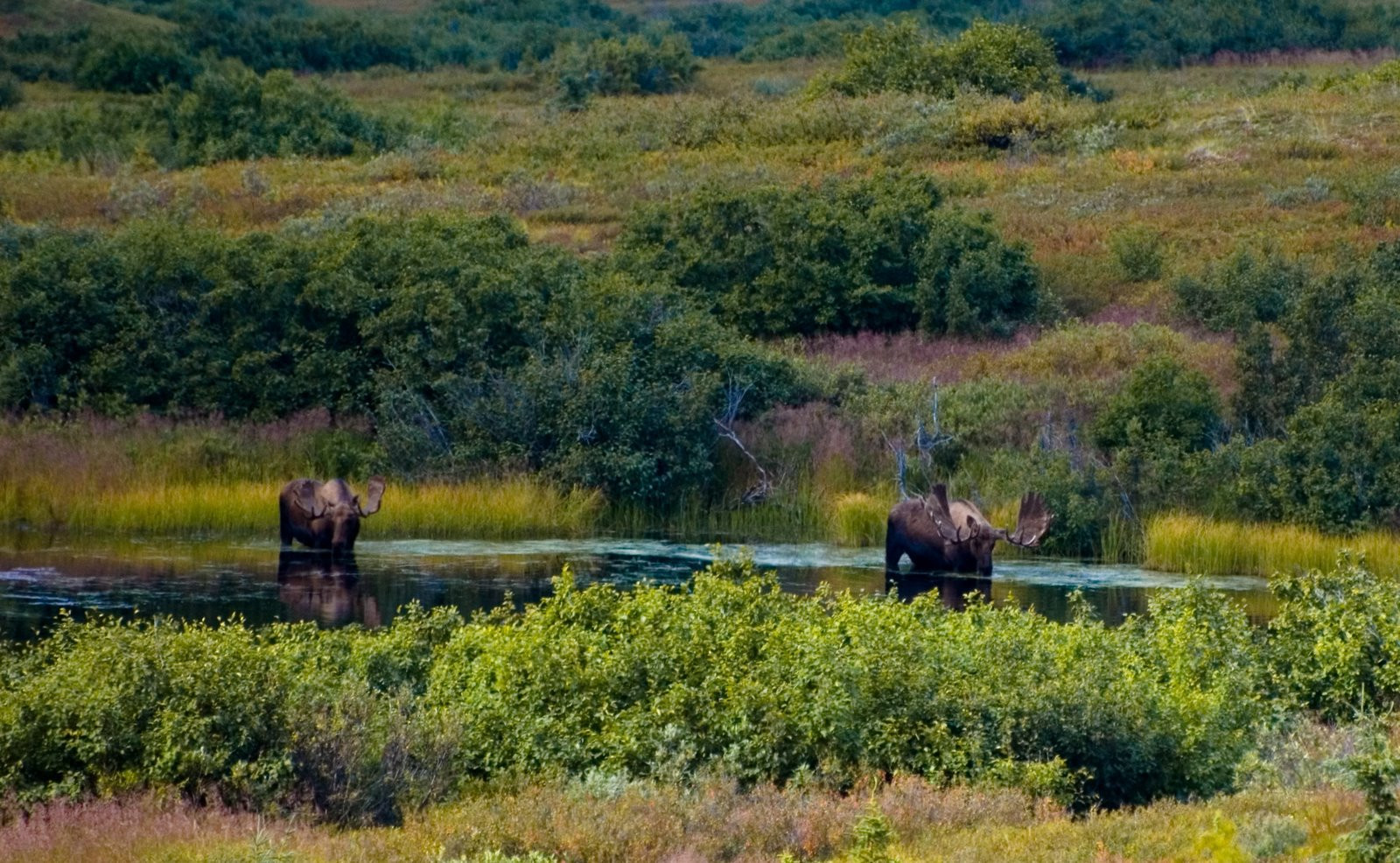 Аляска штат, США, фото № 67688 – фотографии США
