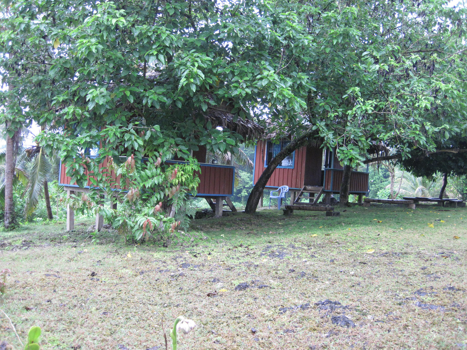 Остров Реннелл, Соломоновы о-ва – фотографии Соломоновых Островов