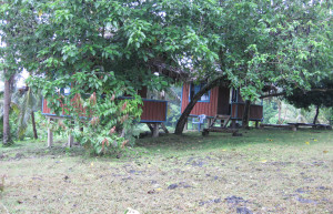 Остров Реннелл, Соломоновы о-ва – фотографии Соломоновых Островов