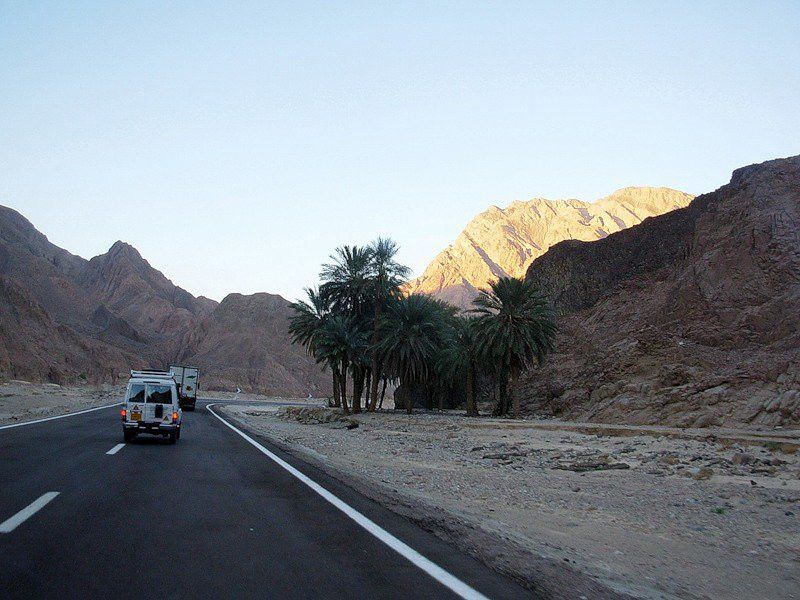 Нувейба, Египет, фото № 35350 – фотографии Египта