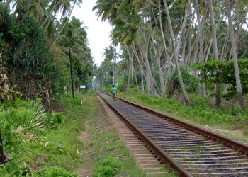 Бентота, Шри-Ланка, фото № 50695 – фотографии Шри-Ланки