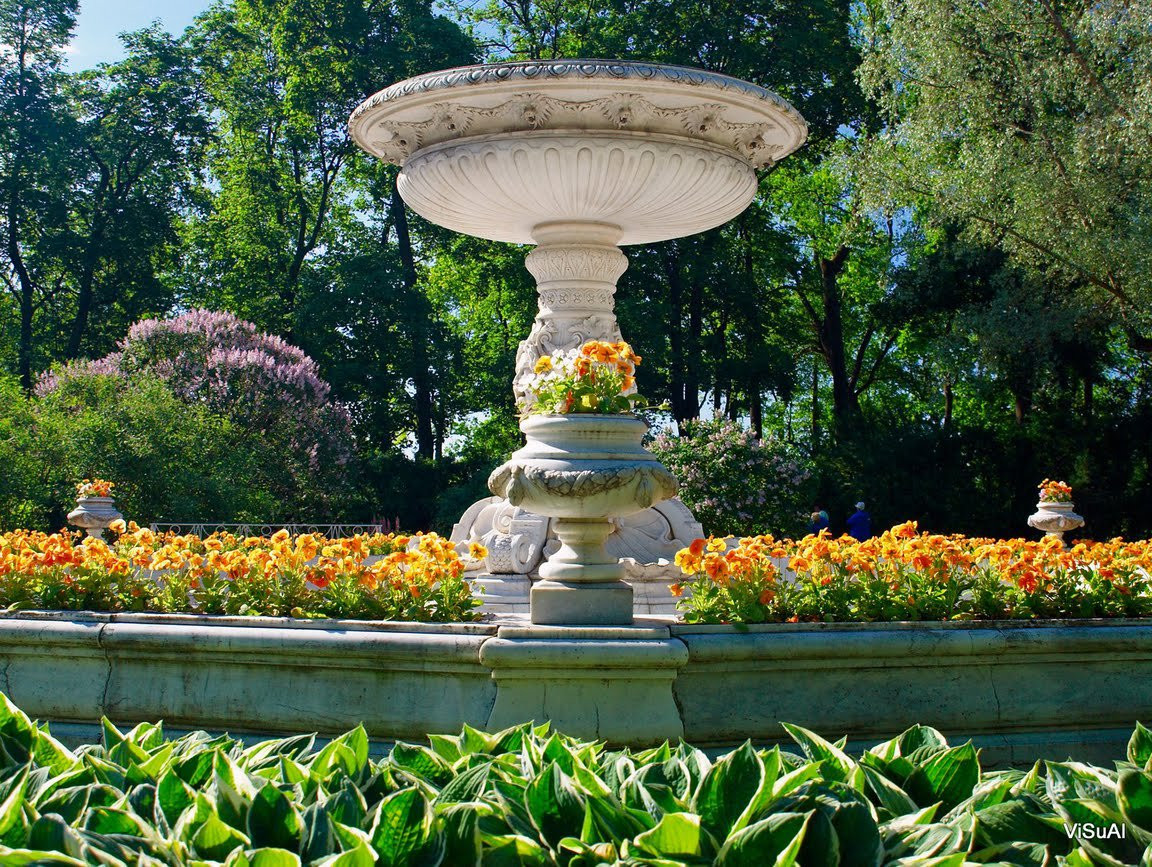 Цветы в Пушкина, Россия – фотографии России