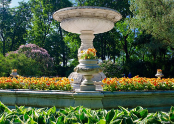 Цветы в Пушкина, Россия – фотографии России