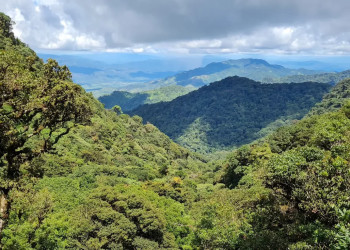 Национальный парк Ла-Тигра, Гондурас, фото 1 – фотографии Гондураса