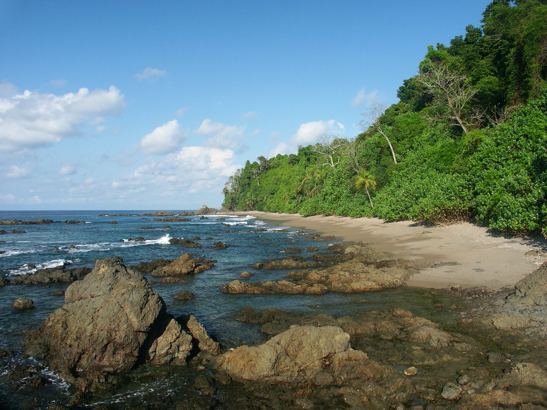 Корковадо Национальный Парк, Пунтаренас провинция, Коста-Рика, фото № 40544 – фотографии Коста-Рики