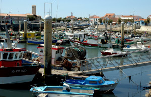 Порт на острове Олерон, Франция – фотографии Франции