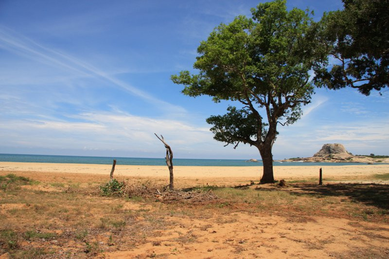 Яла Национальный Парк, Шри-Ланка, фото № 52693 – фотографии Шри-Ланки