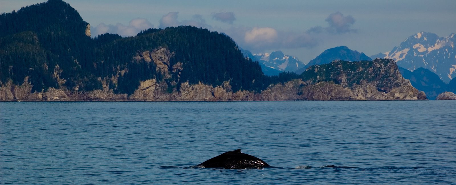 Аляска штат, США, фото № 67668 – фотографии США