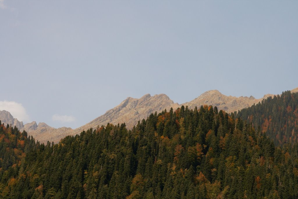 Природа озера Рица, Абхазия – фотографии Абхазии