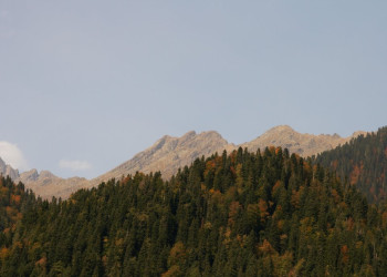 Природа озера Рица, Абхазия – фотографии Абхазии