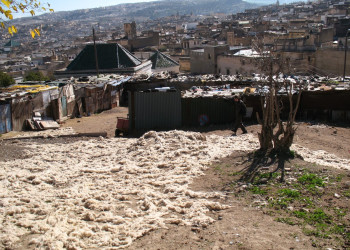 Фес, Марокко, фото № 8521 – фотографии Марокко