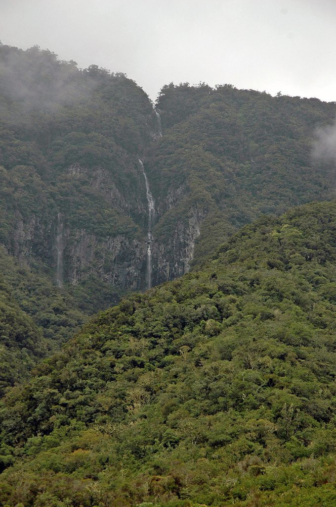 Плень-де-Палмист, Реюньон, фото № 25640 – фотографии Реюньона