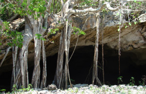 Пещеры острова Мидл-Кайкос (Middle Caicos) – фотографии Тёркс и Кайкос