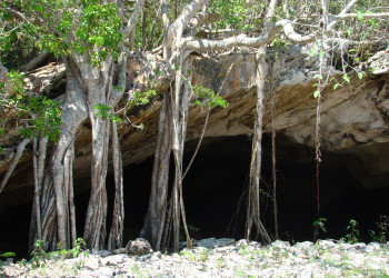 Пещеры острова Мидл-Кайкос (Middle Caicos) – фотографии Тёркс и Кайкос