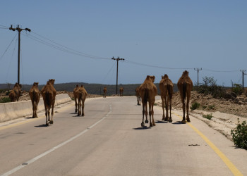 Оман, фото № 5213 – фотографии Омана