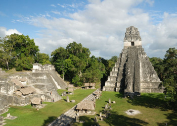 Tikal Temple – фотографии Гватемалы