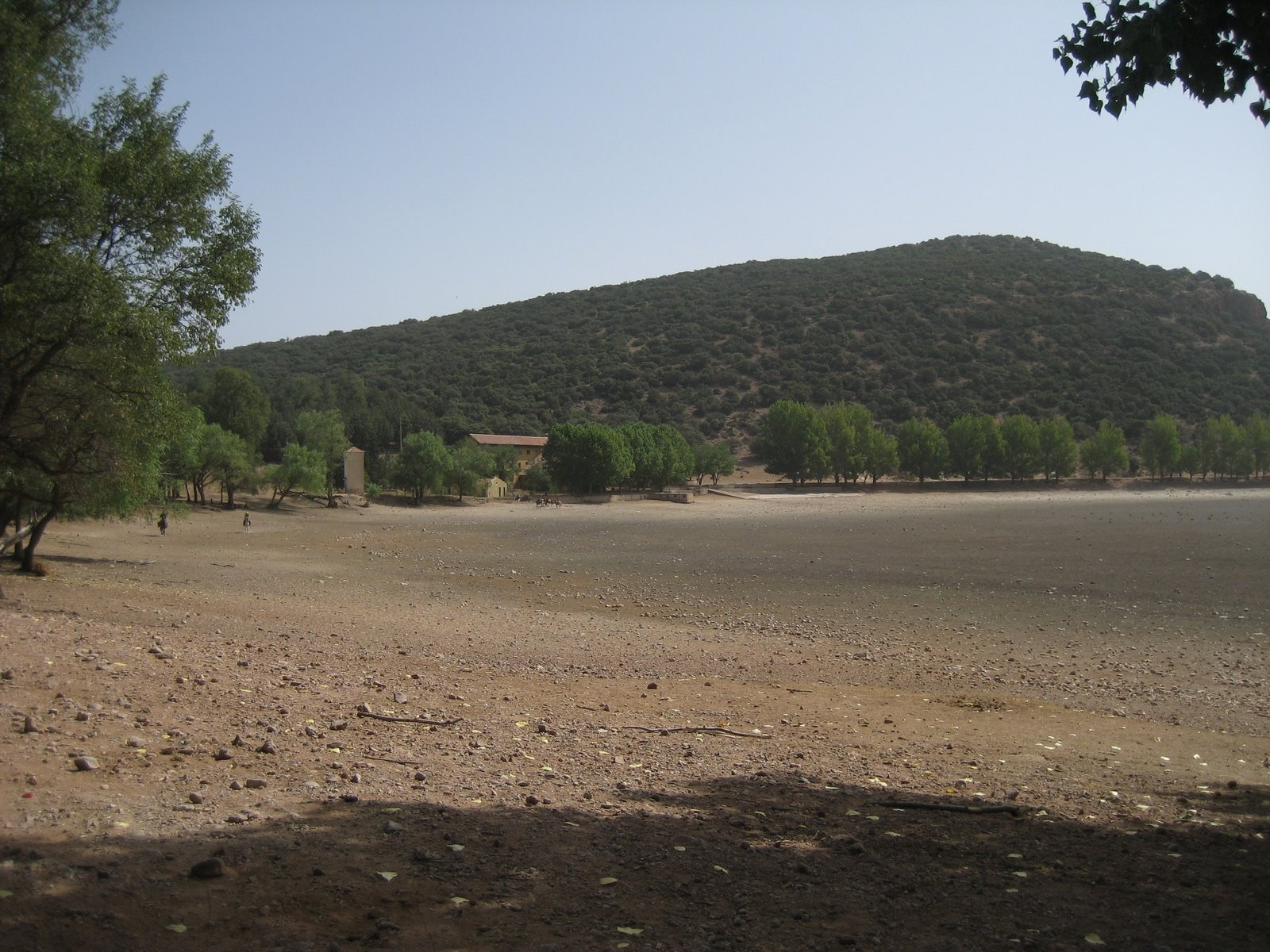 Ифран, Марокко, фото № 7532 – фотографии Марокко