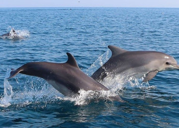 Отдых – фотографии России