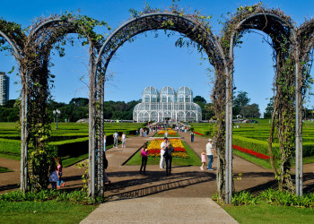 Ботанический сад в городе Куритиба – фотографии Бразилии