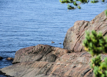 Река на острове Кий, Россия. Фото 12 – фотографии России