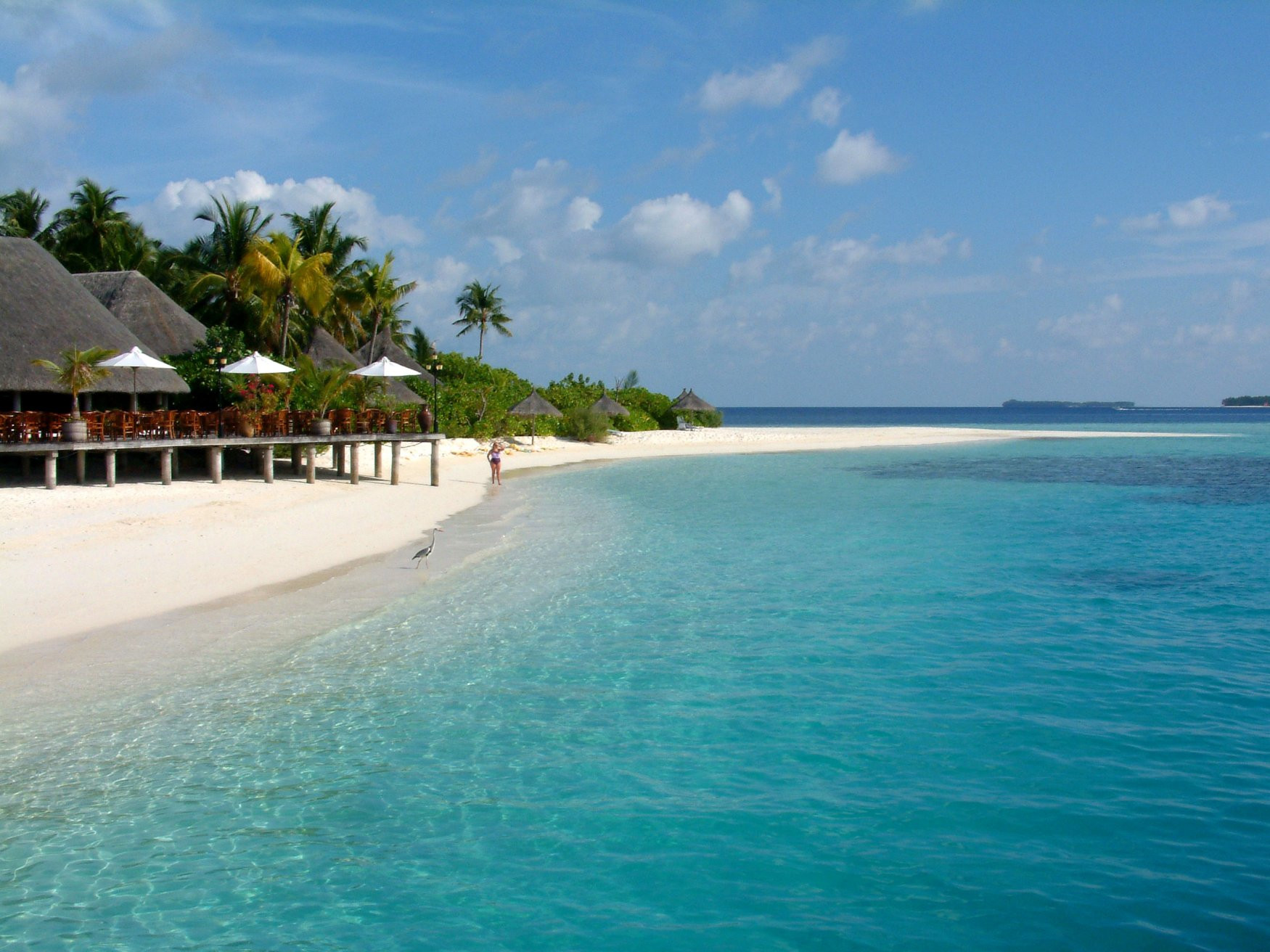 Пляж в Даалу Атолл, Мальдивы. Фото 1 – фотографии Мальдивских островов