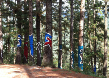 Художник создавал эффект сегментации в Живом лесу Ома в Стране Басков на протяжении рисования  – фотографии Испании