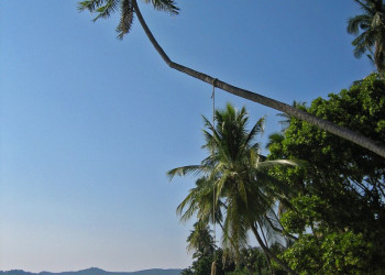 Море на острове Мак, Тайланд. Фото 7 – фотографии Таиланда