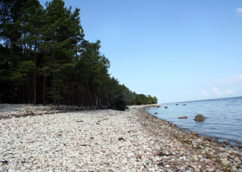 Один из пляжей Сааремаа – фотографии Эстонии
