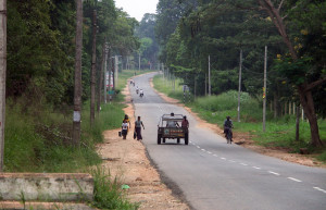 Хабарана, Шри-Ланка, фото № 52486 – фотографии Шри-Ланки