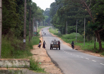 Хабарана, Шри-Ланка, фото № 52486 – фотографии Шри-Ланки