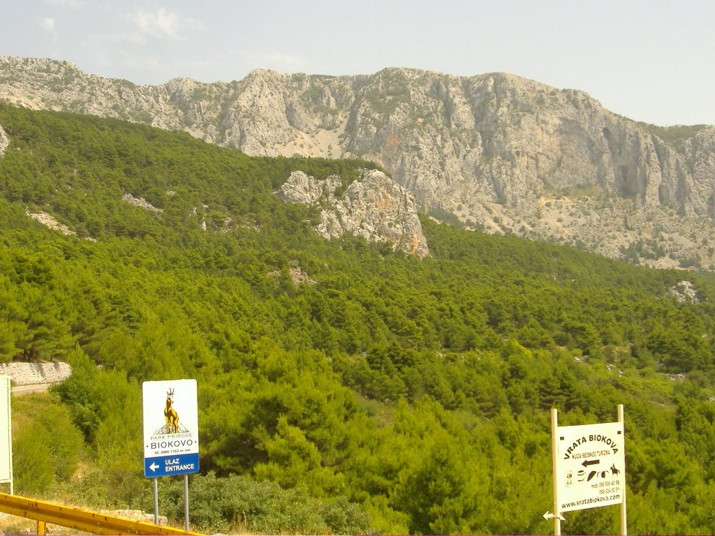 Природа в Биоково, Хорватия. Фото 1 – фотографии Хорватии