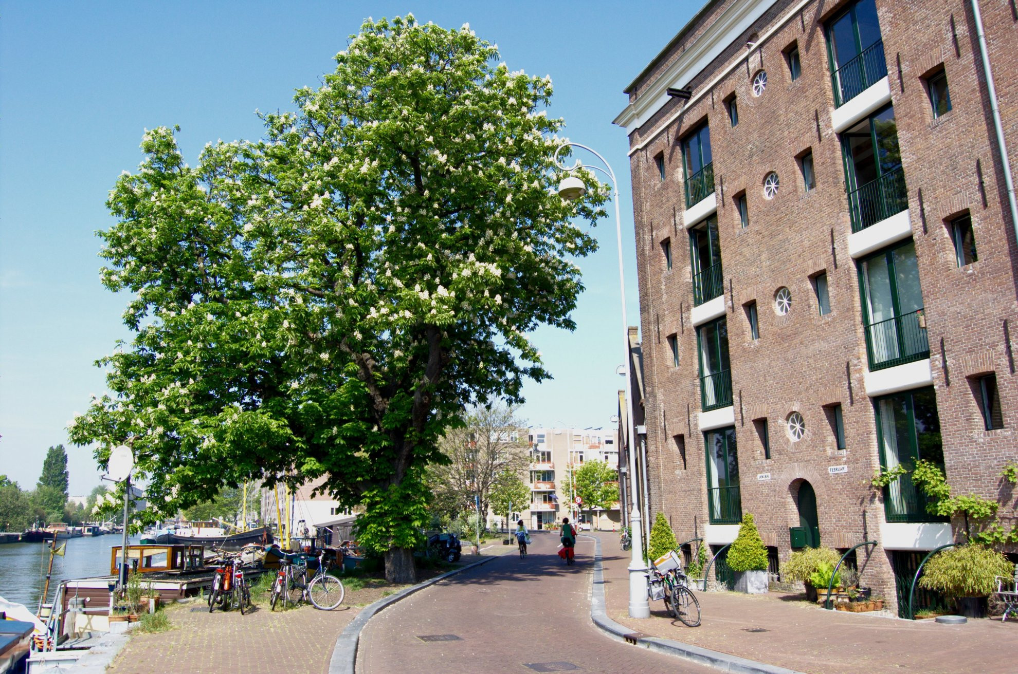 Amsterdam – фотографии Нидерландов