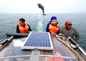 "Дельфиний" прикол. – фотографии России