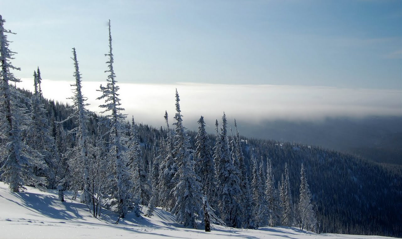 Природа в Шерегеш, Россия. Фото 4 – фотографии России