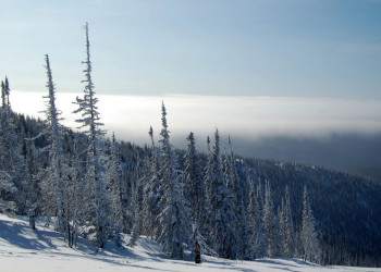 Природа в Шерегеш, Россия. Фото 4 – фотографии России